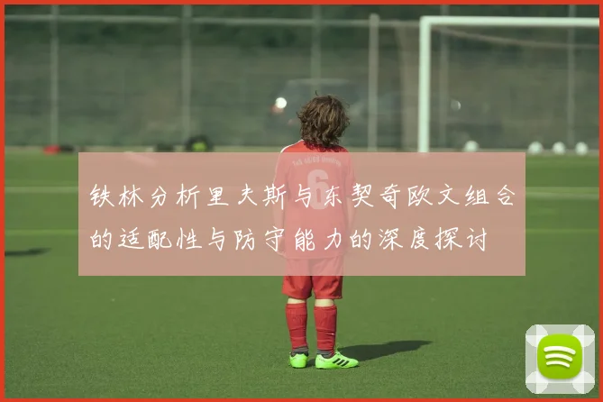 铁林分析里夫斯与东契奇欧文组合的适配性与防守能力的深度探讨